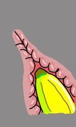 ambiguous_gender anal anal_masturbation anal_sex animated banana food fruit internal masturbation penetration penis simple_background