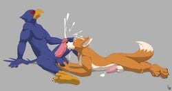 ahzi anthro avian ball_fondling balls canine cum cum_on_face falco_lombardi fellatio fondling fox fox_mccloud furry licking male male_only mammal nintendo oral penis sex star_fox tongue tongue_out yaoi