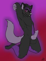 animal_genitalia anthro balls black_body black_fur canid canine canis claws derjinzo erection fur genitals hair hi_res looking_at_viewer male mammal mishy nude penis purple_body purple_eyes purple_fur simple_background smile solo wolf