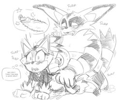 big the cat from sonic (series) by skinbark