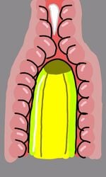 ambiguous_gender anal anal_masturbation anal_sex animated banana banana_penis cum cum_in_ass cum_inside food fruit internal masturbation penetration penis simple_background