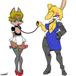 absurd_res anthro antoine_d'coolette balls bunnie_rabbot canine canon_couple clothed clothing coyote crossdressing cybernetics cyborg doomington duo female femboy girly hi_res lagomorph machine male mammal penis predator/prey rabbit robinebra sega sex_toy sonic_(series) vibrator