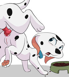 101_dalmatians 2016 anal anal_knotting anal_sex animal_genitalia animal_penis annoyed anus ass balls black_nose blue_eyes blush cadpig canine canine_penis collar cum cum_in_ass cum_inside dalmatian disney duo female feral hindpaw knot knotted knotting looking_back male mammal pawpads paws penetration penis pussy reverse_doggy_style saliva sex smitty_g straight unseen_male_face