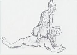 2016 Rule 34 Image