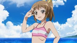 :d bikini blush brown_eyes brown_hair female haiyore!_nyaruko-san kurei_tamao ponytail smile tied_hair