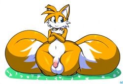 1boy ai_generated curvy curvy_figure femboy furry novelai penis sega sonic_(series) sonic_the_hedgehog_(series) tails tails wide_hips