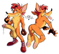 1boy activision all_fours anthro anus ass balls bandicoot bared_teeth big_balls big_penis bodily_fluids clothing crash_(series) crash_bandicoot cum cum_drip cum_on_penis digital_drawing_(artwork) digital_media_(artwork) dripping eeknocs eenocs erection fingerless_gloves floating_eyebrows footwear fur genital_fluids genitals gloves green_eyes grinning_at_viewer hair handwear hi_res huge_cock humanoid_genitalia humanoid_penis looking_at_viewer looking_back looking_back_at_viewer male male_only mammal marsupial multiple_angles nipples orange_body orange_fur penis rear_view red_hair shoes simple_background smile smiling_at_viewer sneakers solo tongue tongue_out watermark white_background