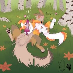 1:1 2025 animal_genitalia animal_penis australian_shepherd balls birch_tree blush bodily_fluids brown_body brown_fur canid canine canine_genitalia canine_penis canis closed_eyes coyote cum cumshot digital_media_(artwork) domestic_dog duo ejaculation erection feral feral_on_feral flower forest forest_background fur genital_fluids genitals half-erect handjob herding_dog hi_res k9derg_(artist) kanon_(applejacksville) knot knot_root knot_root_grab laying_on_partner licking lying male male/male mammal nature nature_background on_back on_side oral orange_body outside outside_sex pastoral_dog penile penis penis_lick plant sex sheath sheepdog smile tongue toony tree tukamos_(character)