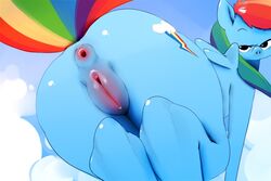 2016 anus blue_background blue_feathers cloud equine feathered_wings feathers female female_only feral friendship_is_magic fur gaping_anus hair half-closed_eyes looking_at_viewer looking_back mammal multicolored_fur multicolored_hair musikalgenius my_little_pony nude pegasus pussy rainbow_dash_(mlp) rainbow_fur rainbow_hair raised_tail rear_view simple_background sky solo wings