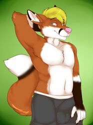 1boy 2016 5_fingers anthro armpits big_tail blonde_hair blue_eyes boxers brown_fur brown_markings brown_tail bulge canine chest_tuft collaboration countershade_face countershading dipstick_tail erection facial_markings fluffy fluffy_tail fox foxeh front_view fur furry green_background half-length_portrait hand_behind_head highres male male_only mammal markings multicolored_fur multicolored_tail orange_fur orange_tail penis_outline pink_nose portrait shadowpelt simple_background smile solo standing topless tuft underwear white_countershading white_fur white_tail xchiseaxmargaritax