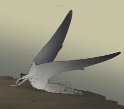 absurd_res ambiguous_species anus ass_up belly black_wings closed_eyes countershading detailed_background digital_media_(artwork) fail falling_over feathers feet feral foot_fetish foot_on_penis foot_play frown genitals gradient_background grey_body half-erect hi_res long_penis male membrane_(anatomy) membranous_wings motion_lines nictitating_membranes pain penis pink_anus pink_penis prehistoric_species pterosaur reptile rock scalie simple_background small_tail solo spread_wings tail take_off tapering_penis teeth tripping white_belly wings zw3