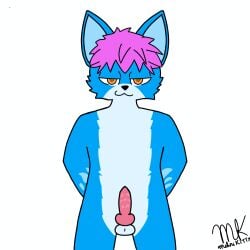 absurd_res animal_genitalia animal_penis balls bedroom_eyes blue_body blue_fur canid canine canine_genitalia canine_penis domestic_cat excited felid feline feline_genitalia feline_penis felis fox fur furry furry_male furry_male_only furry_only genitals hair hi_res hybrid knot male mammal melvin_kitty_(artist) melvinkitty multicolored_body multicolored_fur narrowed_eyes orange_eyes penis pink_hair seductive simple_background solo white_background
