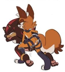 anal anal_sex anthro anthro_on_anthro anthro_penetrated anthro_penetrating anthro_penetrating_anthro anus balls canid canine character_request duo eulipotyphlan eye_roll eyewear female female_penetrating female_penetrating_male fox from_behind_position genitals glasses hedgehog male male/female male_penetrated mammal object_in_ass pawpads pegging penetration penis pussy sega sex sex_toy sex_toy_in_ass sex_toy_insertion sex_toy_penetration shadow_the_hedgehog simple_background sonbaensfw sonic_(series) sonic_the_hedgehog_(series) standing_doggystyle strapon tongue tongue_out toying_partner white_background