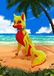 animal_genitalia balls beach canid canine chain_leash chains coconut_tree eye_scar facial_scar feral fox fruit_tree fully_sheathed fur genitals hi_res leash male mammal palm_tree plant rukifox scar sheath side_view sitting tree water yellow_body yellow_fur