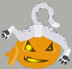 1boy 2016 anthro anus ass babbuful balls darius_miu feline food fruit fur glowing grey_fur halloween hi_res holidays jack_o'_lantern leopard leopard_spots male male_only mammal nude presenting presenting_hindquarters pumpkin raised_tail simple_background snow_leopard solo spots spotted_fur spreading