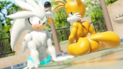 2boys 3d_(artwork) anthro anus artemissaturn ass athletic big_butt blush canid canine chest_tuft clothing digital_media_(artwork) duo eulipotyphlan fox hedgehog hi_res looking_back male male_only mammal miles_prower miles_tails_prower outside pool presenting presenting_hindquarters sega silver_the_hedgehog smile smirk solo sonic_(series) sonic_the_hedgehog_(series) speedo swimwear tail tails tails_the_fox tuft water
