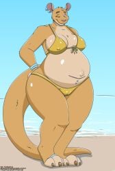 beach belly big_belly bikini bikini_bottom bikini_top breasts clothing cudacore female furry furry_only hi_res jewelry kangaroo macropod mammal marsupial mature_female navel outie_navel piercing pouch_(anatomy) pregnant swimwear toni_(cudacore) two-piece_swimsuit