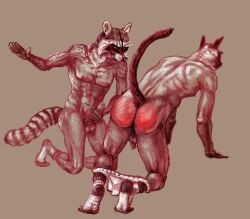 all_fours anthro ass balls brown_background butt_slap clothed clothing domestic_cat duo fallowfox felid feline felis footwear footwear_only furry furry_male furry_male_only furry_only genitals male male/male mammal masturbation mostly_nude partially_clothed penile penile_masturbation penis procyonid raccoon rear_view red_butt simple_background slap socks socks_only spank_marks spanked_butt spanking underwear underwear_down