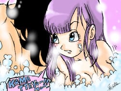 bulma_briefs dragon_ball purple_hair straight_hair tagme yamcha