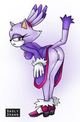 blaze the cat from sonic (series) by badlydrawn