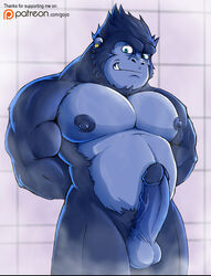 1boy anthro ape balls erection furry gojho gorilla male male_only mammal muscular penis primate solo