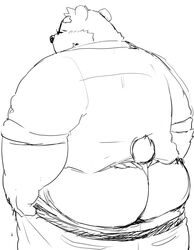 12beat13 1boy anthro ass bear beat_you_(artist) big_butt blush clothed clothing fundoshi japanese_clothing male male_only mammal monochrome mooning pants_down partially_clothed presenting presenting_hindquarters rear_view simple_background solo underwear undressing white_background