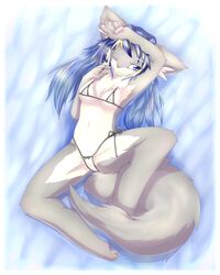 anthro armpits biped blue_eyes blue_hair blush breasts canine clothed clothing female hair hazukikai hi_res lying mammal nipples on_back one_eye_closed pussy skimpy solo spread_legs spreading swimsuit