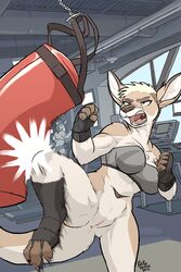 2016 adrian anthro anus armpits avian bag blonde_hair blur bottomless breasts casual casual_bottomless clothed clothing club_(disambiguation) crotch detailed donkey equine feet female fingers footwear fur furry gryphon gym hair handwear hi_res humanoid inside kangaroo mammal marsupial muscular nude plantigrade pouch public punching punching_bag pussy rick_griffin shirt short solo sparring spreading standing tail tan_body tan_fur tank teeth tongue top topwear vehicle