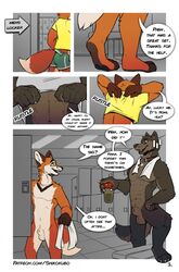 animal_genitalia anthro balls bench big_balls bottomwear brown_body brown_eyes brown_fur canid canine canis casual_nudity clothing collar comic duo english_text fox fully_sheathed fur genitals green_eyes gym_shorts hi_res howl_(shikokubo) jasper_(shikokubo) locker_room male male/male mammal muscular muscular_male orange_body orange_fur paws sheath shikokubo shirt shorts size_difference t-shirt tank_top text topwear towel towel_around_neck undressing wolf