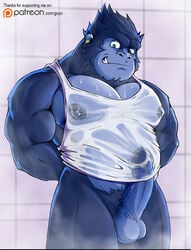 ape balls clothing erection gojho gorilla male male_only mammal muscular penis primate shirt solo solo_male wet_shirt