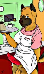 animal_genitalia anthro apron balls beverage breasts canine clock clothing coffee counter door female futanari german_shepherd herm intersex invalid_tag jackie(thepainfultruth) knot mammal penis salt sheath shirt stove thepainfultruth waiter