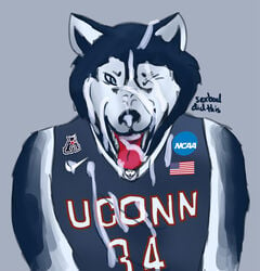 2016 blue_eyes blue_fur bukkake canine clothed clothing cum cumshot ejaculation fur husky jersey jonathan_xiv male male_only mammal ncaa nike one_eye_closed orgasm sexbad solo submissive tongue uconn_huskies university_of_connecticut wink