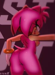 amy rose from sega by hmx