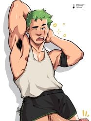 roronoa zoro from one piece by velgaty