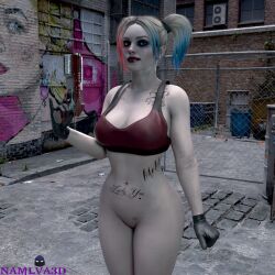 harley quinn from batman (series) by namlva3d