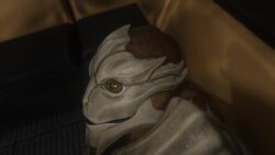 3d 3d_animation alien_girl anal anal_sex animated bioware blender breathing_heavily electronic_arts female hand_on_another's_ass human_on_alien human_on_humanoid lolpro2 looking_at_viewer looking_back mass_effect moan moaning monster_girl open_mouth sound sweat sweating tagme turian video