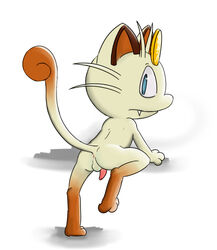 1boy anus ass back digitigrade fangs feet feline furry half-erect looking_at_viewer looking_back male male_only mammal meowth nintendo nude on_one_leg paws penis perineum pokemon raised_tail rear_view solo standing tapering_penis testicles video_games wattacat whiskers