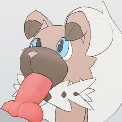 1boy ambiguous_gender animal_genitalia animal_penis animated big_penis brown_fur canine canine_penis clade cub drooling fellatio feral furry gradient_background grey_background grey_fur knot looking_up loop male mammal nintendo open_mouth oral pcred566 penis pink_penis pokemon pokemon_sm rockruff saliva simple_background tail tail_wagging tailwag wet young