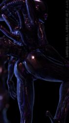 2016 3d alien alien_(franchise) anus ass black_background black_skin disembowell_(artist) female female_xenomorph lips nude pussy solo xenomorph