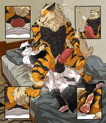 2boys abs anal anal_sex animal_genitalia animal_penis anthro anthrofied arcanine arctic_fox bed bedroom big_penis black_fur black_skin black_stripes body_hair canine canine_penis claws cum cum_inside ejaculation erection feet fox fur furry gay gloves_(marking) grin internal interspecies jace_(character) jericho jericho_(character) knot knotting male male_only mammal markings multicolored_fur muscular muscular_male neck_tuft nintendo nipples nude on_bed on_top orange_fur orgasm original_character pawpads paws penetration penis pokemon pokemon_(species) pokemorph precum pubic_hair reverse_cowgirl_position sex size_difference small_dom_big_sub smaller_male stripes teeth tuft wfa white_fur yaoi