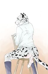 9x9 ass ballbusting balls chair clothing cock_and_ball_torture erection feline humanoid_penis legwear leopard male male_only mammal penis simple_background sitting snow_leopard socks solo spank_marks