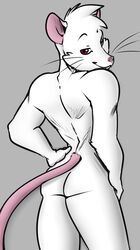 albino ass big_butt big_thighs fur hair hand_on_hip isaac_wistar lordboo male male_only mammal muscular nude pocketmew rat red_eyes rodent short_hair solo suggestive whiskers white_fur wide_hips