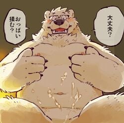 2016 bear blush cold_sweat cum cum_on_chest eyewear glasses inside japanese_text kemono kinoshita_jiroh looking_at_viewer male male_only mammal moobs overweight polar_bear sitting solo text translation_request