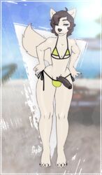 2016 anthro balls bikini black_hair black_nose caleb_(dingah) canine clothing crobat_(artist) cute dingo erection fur girly green_eyes hair looking_at_viewer male mammal open_mouth outside penis seaside smile solo swimsuit water white_fur