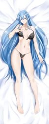 1girls 2d 2d_(artwork) akame_ga_kill! ass_visible_through_thighs bed big_breasts bikini black_bikini blue_eyes blue_hair breasts dakimakura esdeath_(akame_ga_kill!) female female_only human human_female human_only light-skinned_female light_skin long_hair looking_at_viewer no_sex pale-skinned_female pale_skin panties realistic_breast_size realistic_proportions ripped_bra smile smiling_at_viewer solo solo_female straight_hair tattoo tattoo_on_chest very_long_hair villainess