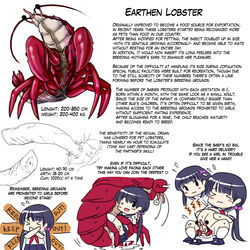 arthropod birth clothed_sex clothing comic crustacean cute educational female gall human interspecies lobster male mammal manga marine penetration penis pregnant skirt straight vaginal_penetration