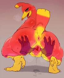 4_fingers anthro anus ass ass_grab avian banjo-kazooie beak bebebebebe big_butt blush claws disembodied_hand feathers female green_eyes hand_on_ass kazooie looking_back open_mouth pussy pussy_juice red_feathers solo spread_pussy spreading talons video_games