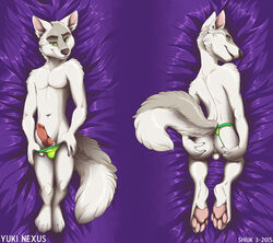 1boy anthro balls canine dakimakura erection male male_only mammal penis shiuk solo wolf yuki_nexus