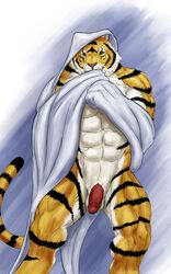 1boy anthro balls feline male male_only mammal muscular penis rwolf solo tiger