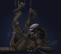 alien alien_(franchise) alien_vs_predator anus bound chet_(avpr) digitigrade erection male penis predalien restrained rope rule_63 sinsmonster solo tapering_penis unusual_penis xenomorph